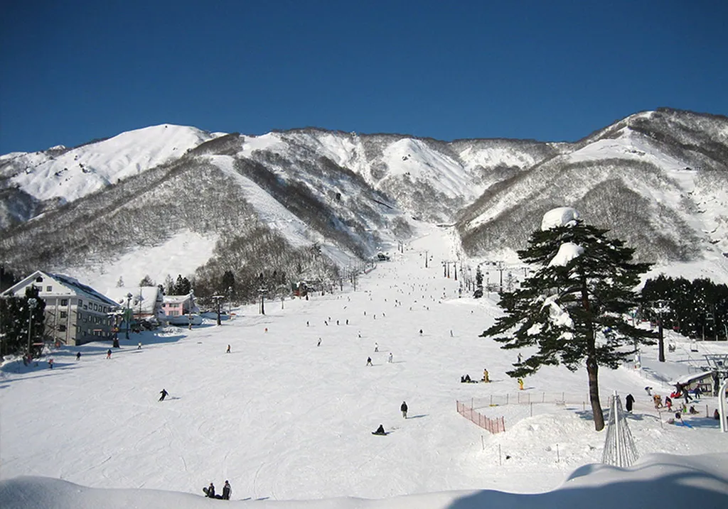 Hakuba Valley 雪季景色